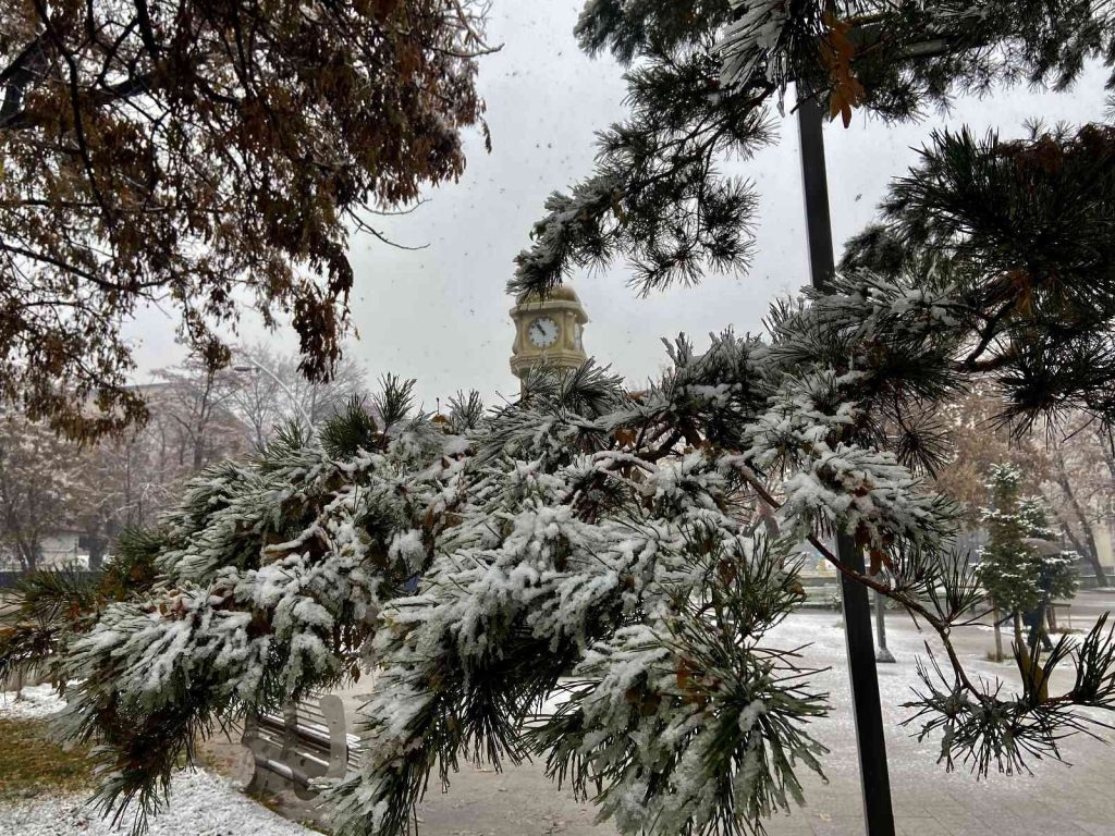 Ağrı mevsimin ilk karıyla beyaza büründü
