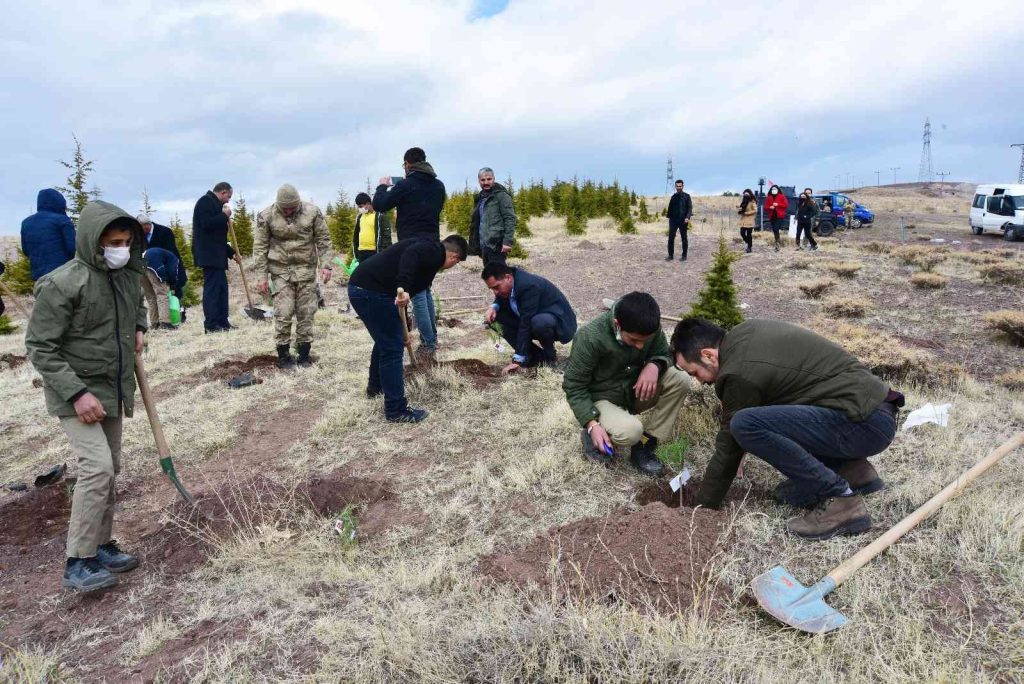 Ahlat’ta şehit öğretmenler anısına fidan dikildi