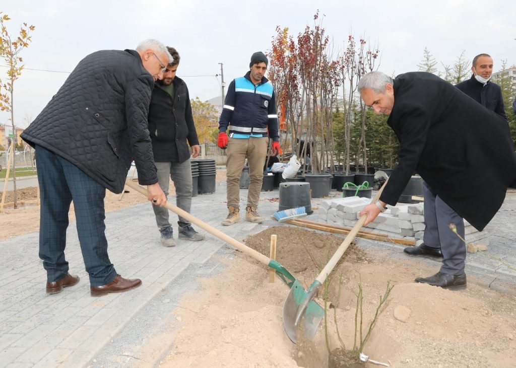 Başkan Güder gül fidanı dikti