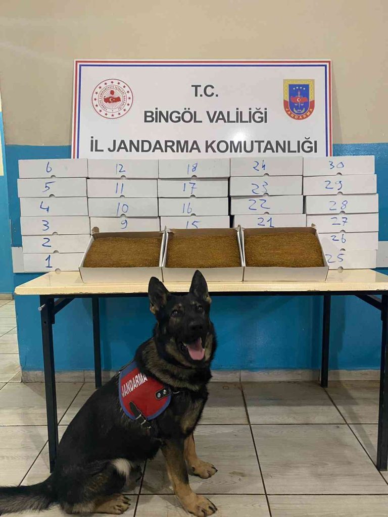 BİNGÖL’de 33 kilo kıyılmış tütün ve kaçak çay ele geçirildi