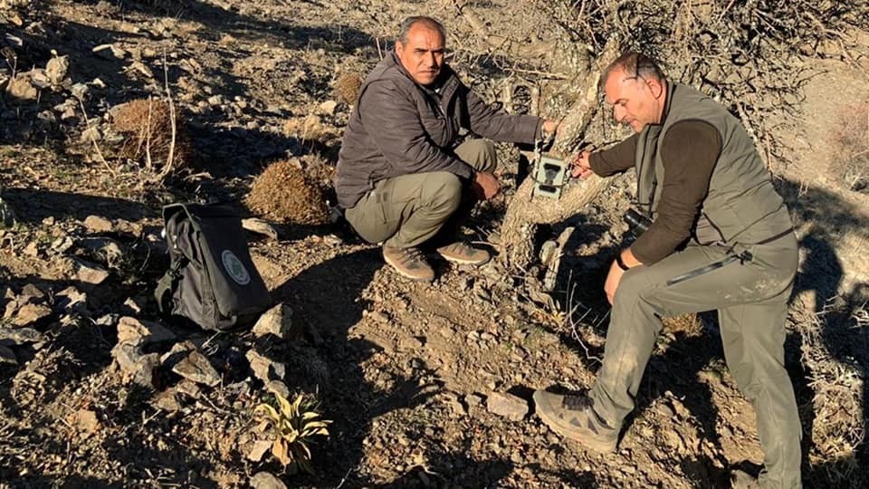 Elazığ’da yaban hayatı ve kaçak avcılar, fotokapanlarla tespit ediliyor