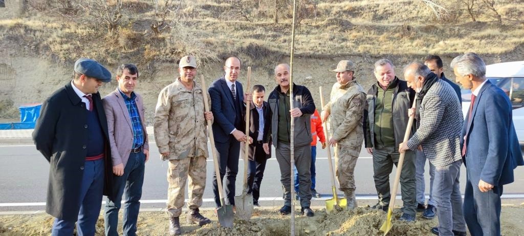 Esendere Belediyesi 500 fidan dikti