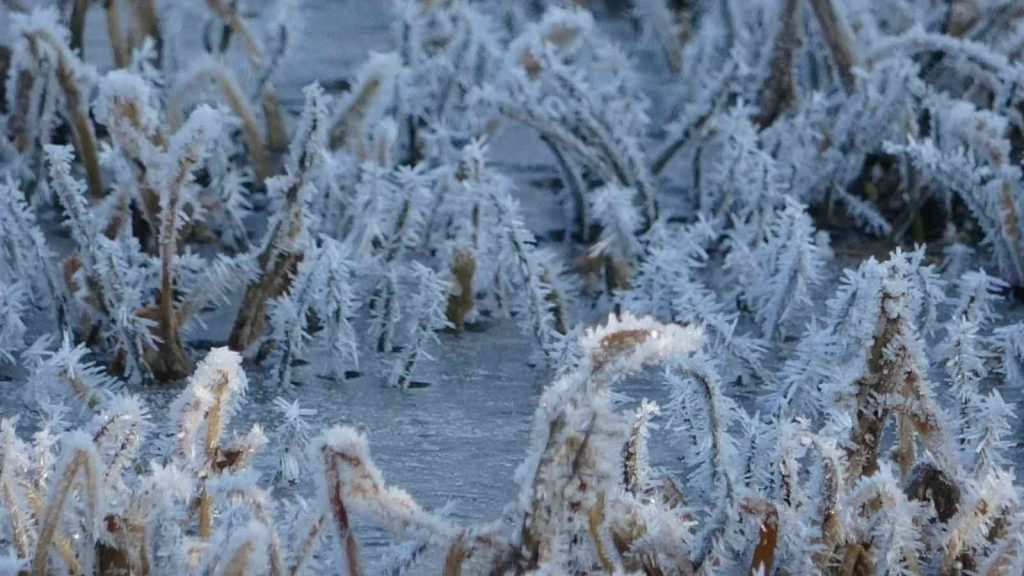 Göle eksi 10’u gördü