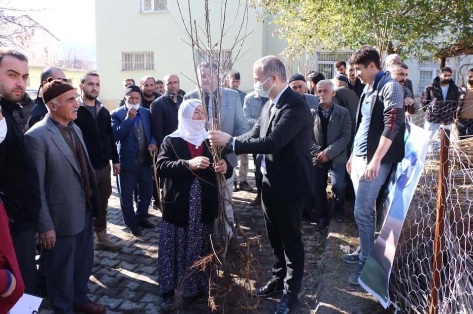 Hizan’da 22 bin meyve fidanı dağıtıldı