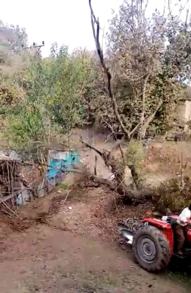 Kestikleri ağaç az daha sonları oluyordu