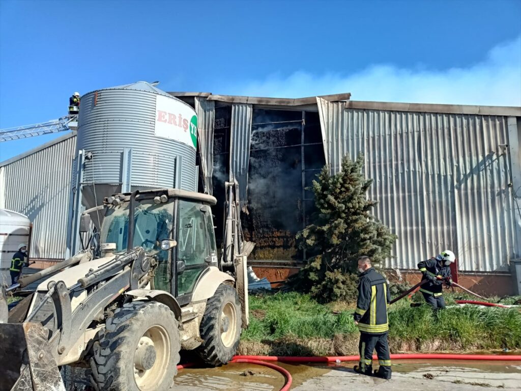 Kırklareli’nde hayvan çiftliğinde çıkan yangına müdahale ediliyor