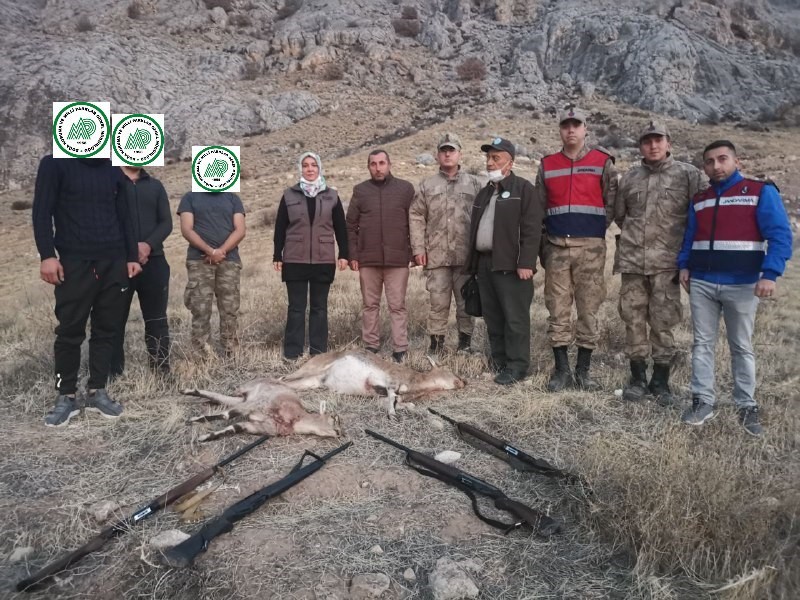 Koruma altındaki yaban keçilerini avlayan 4 kişiye 127 bin 526 lira ceza