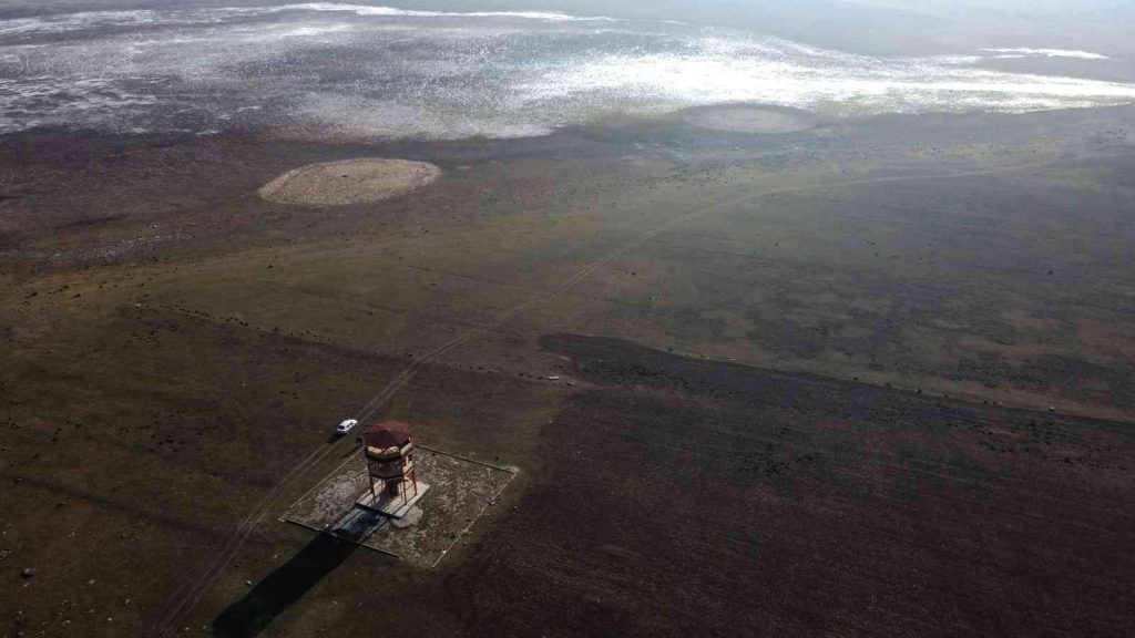 Kuyucuk Gölü’nde bin 200 kuş sayıldı