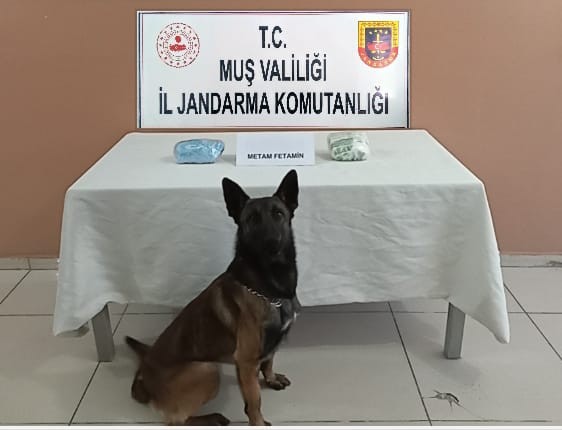 Muş’ta uyuşturucu operasyonu: 1 tutuklama