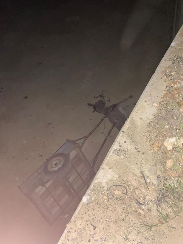 Uşak’ta eşek arabasıyla göletin tahliye kanalına düşen kişi ağır yaralandı