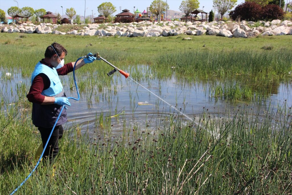 Van’da vektörle mücadele çalışmaları