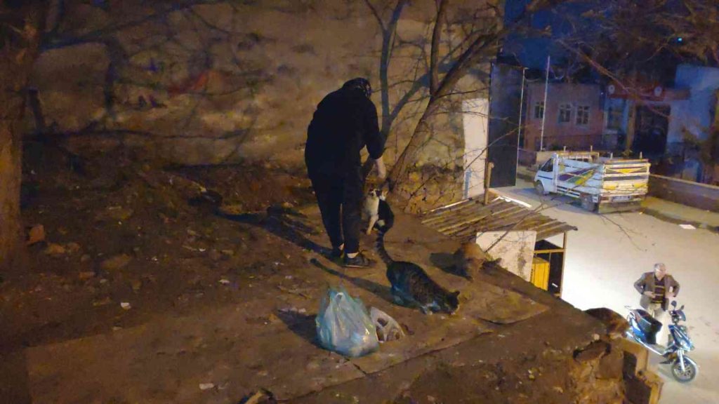GAZİANTEP – 30 yıldır 40 kedi ve 10 köpeği besliyor
