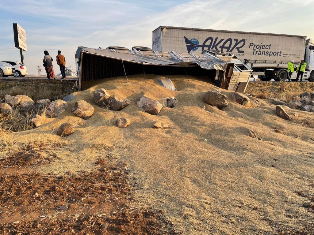 Arpa yüklü kamyon devrildi: 1 yaralı