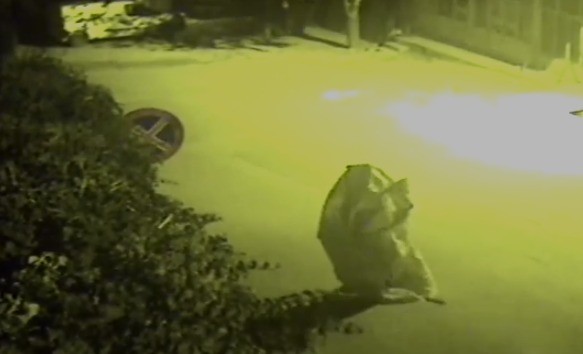 MALATYA – Çuvallı hırsız kameralara yakalandı