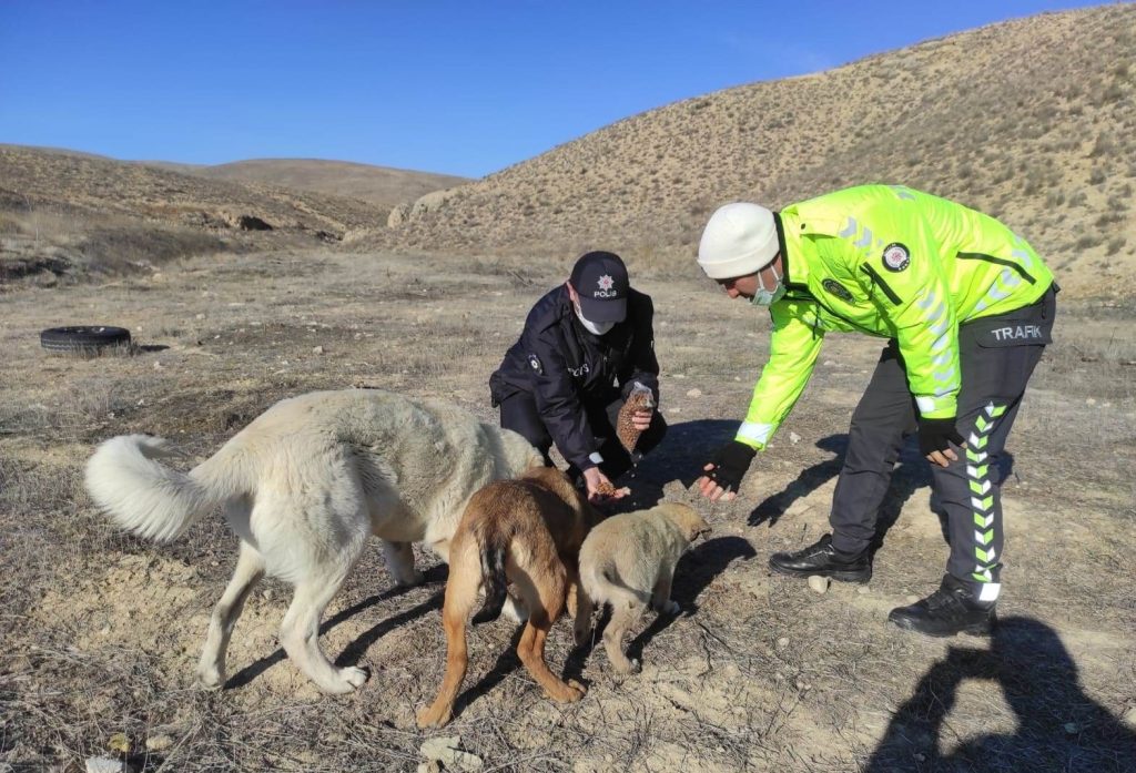 Darende’de yaban hayvanları unutulmadı