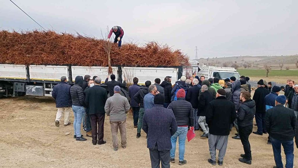 Dicle’de 111 çiftçiye 33 bin 880 adet badem, ceviz ve fıstık fidanı dağıtıldı