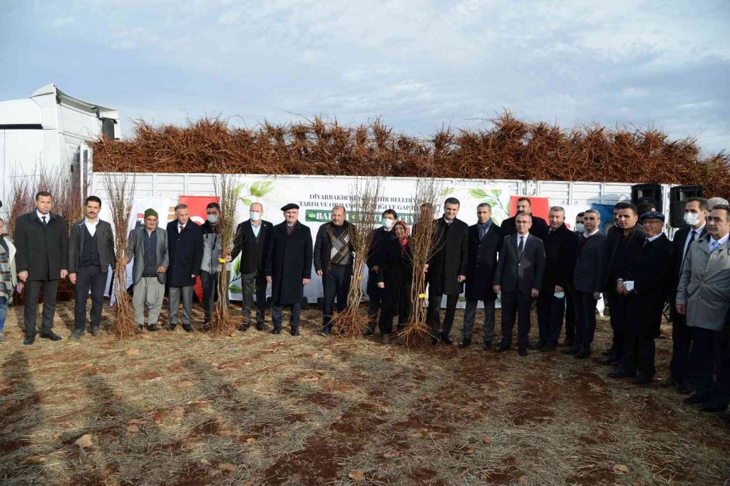 Eğil’de çiftçilere 180 bin badem, fıstık ve ceviz fidanı dağıtıldı