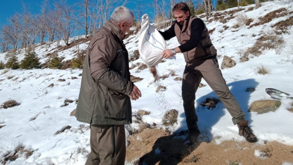 Elazığ’da yaban hayvanları için doğaya yem bırakıldı