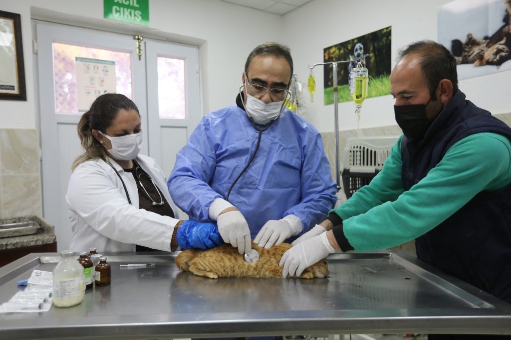 Gaziantep’te sokak hayvanları sahipsiz kalmıyor