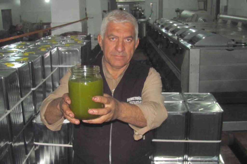 Güneydoğu’nun tahıl ambarı zeytinyağı üretiminde de iddialı