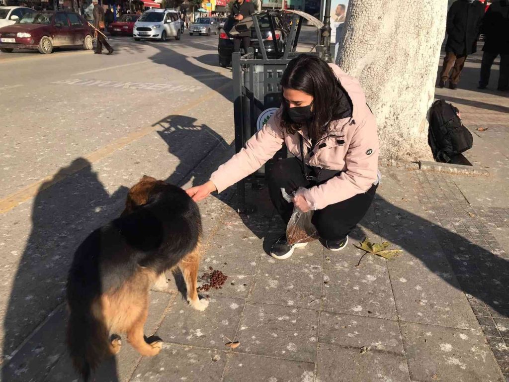 Harçlığından biriktirdiği paralarla sokak hayvanlarını besliyor
