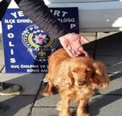 Kaybolan köpeği için polisten yardım istedi