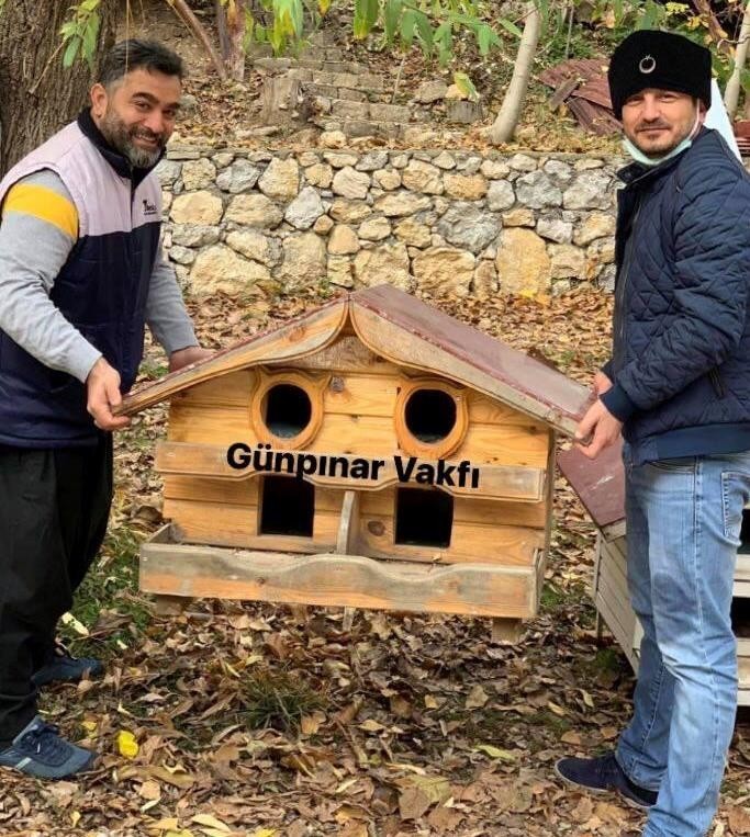 Kış öncesi sokak kedilerine şefkat eli