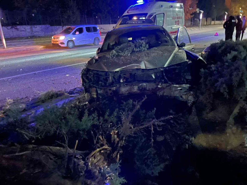 ELAZIĞ – Köpeğe çarpmamak için direksiyonu kırdı, ağaca çarptı: 1 yaralı