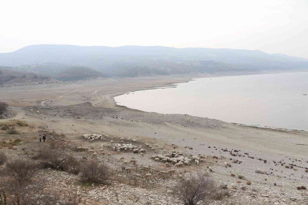 Kuraklık alarmı Malatya için de çalıyor