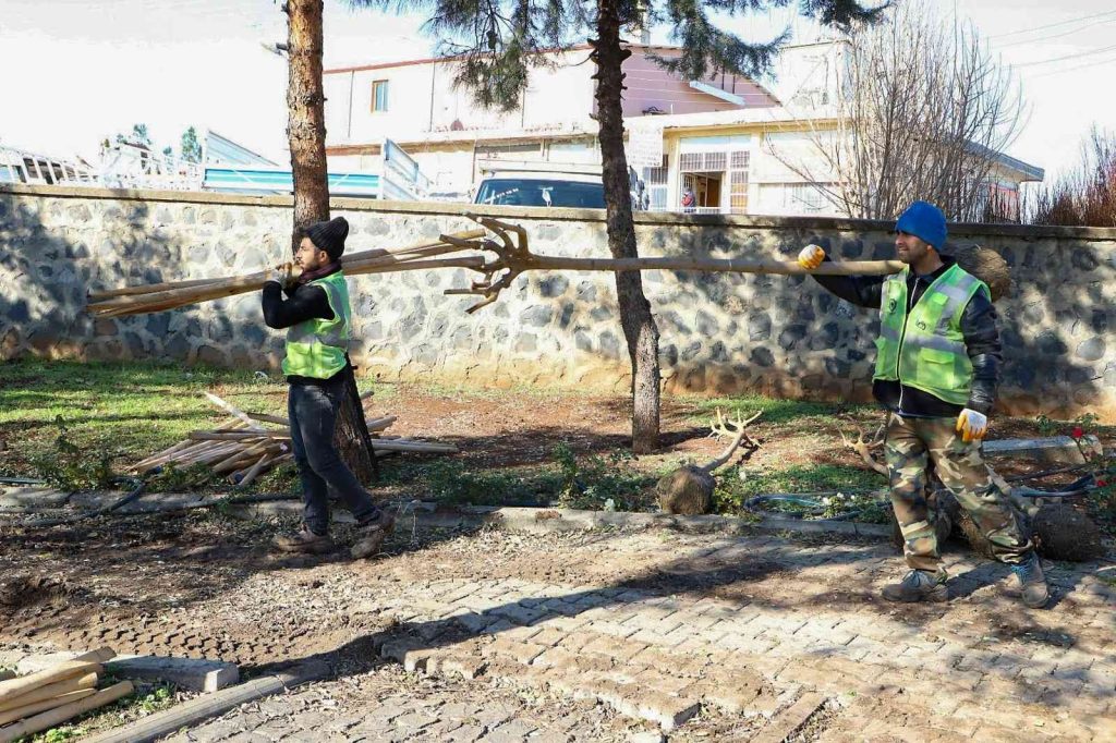 Süryani Kadim Mezarlığı ağaçlandırıldı