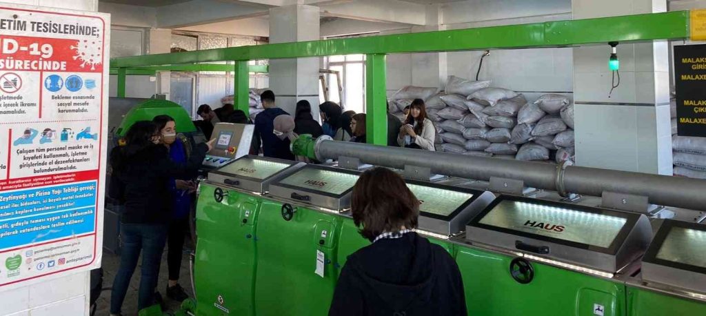 Üniversiteli gencler zeytinyağı üretimini yakından gördü