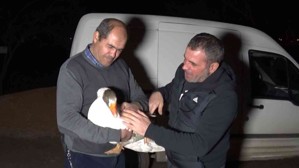Yolda bulduğu  ve ‘Mamoş’ ismini verdiği kazı,  sahibine teslim etti