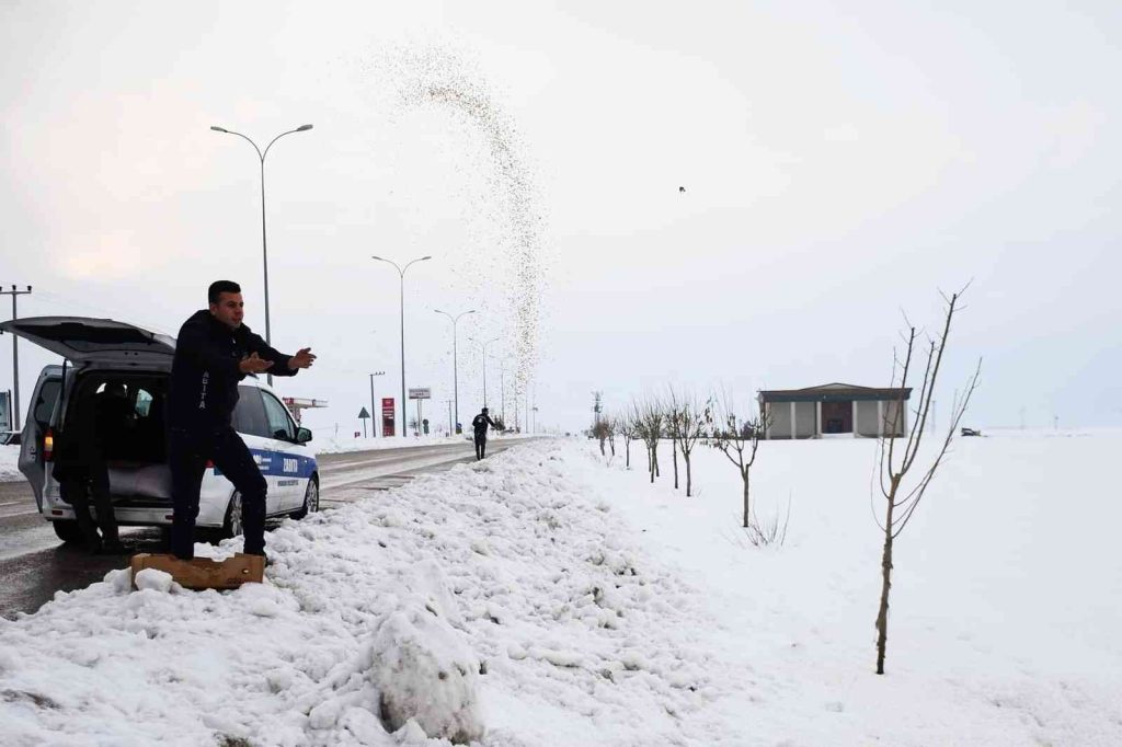 Araban Belediyesi yaban hayvanlarını unutmadı