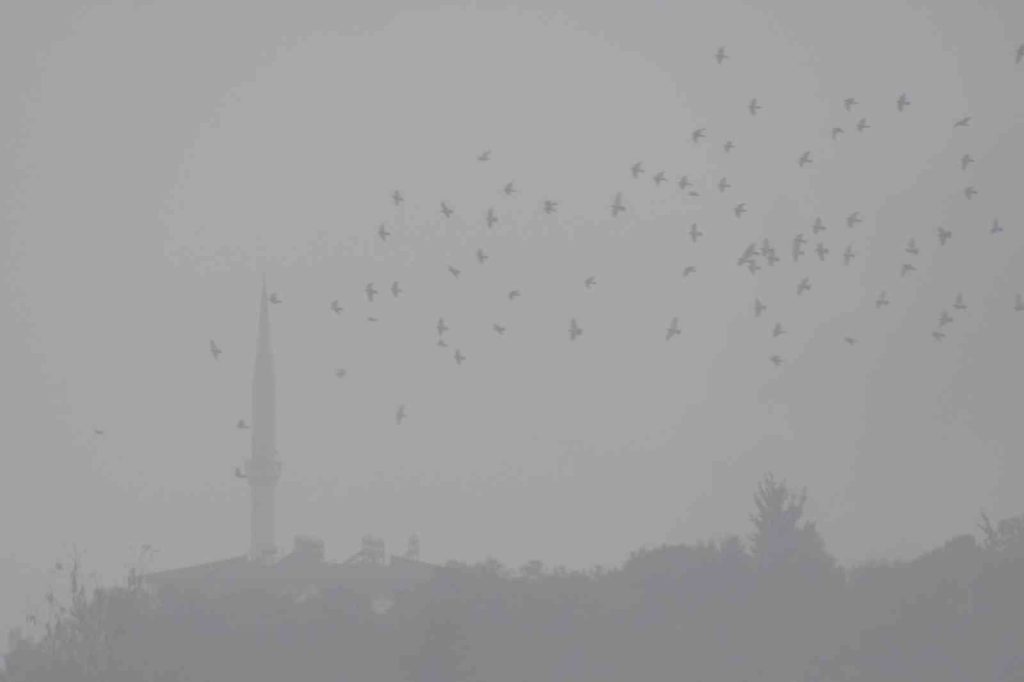 Araban’da sis hayatı olumsuz etkiledi