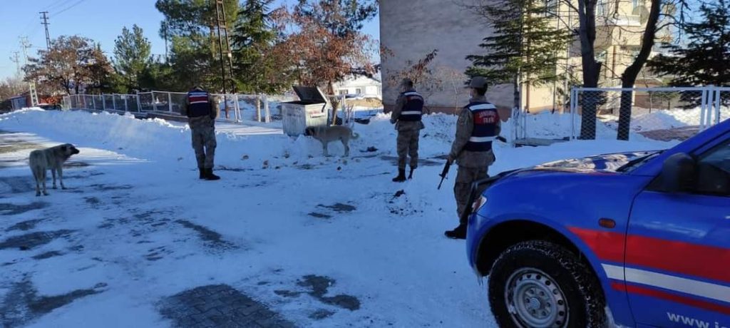 Arguvan’da jandarma sokak hayvanlarını unutmadı
