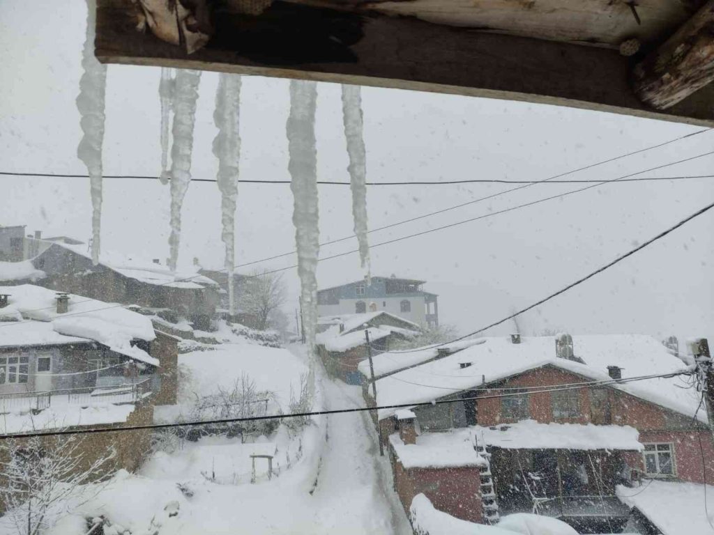 Arıcak kara teslim oldu