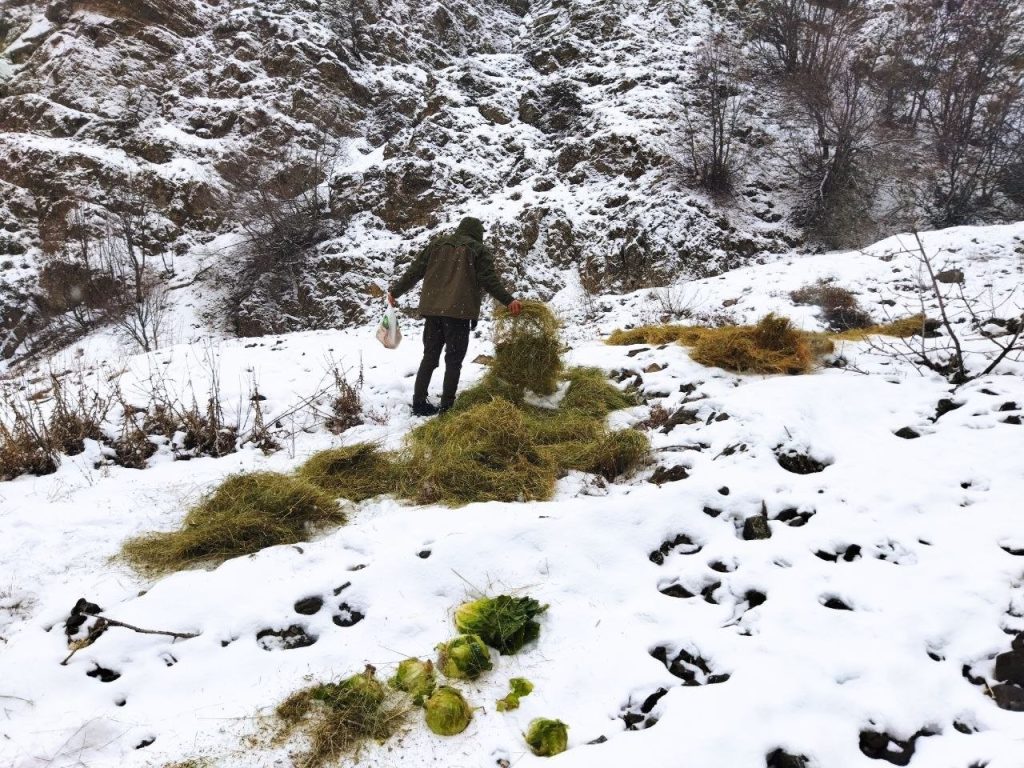 Bingöl’de yaban hayvanları için doğaya yem bırakıldı