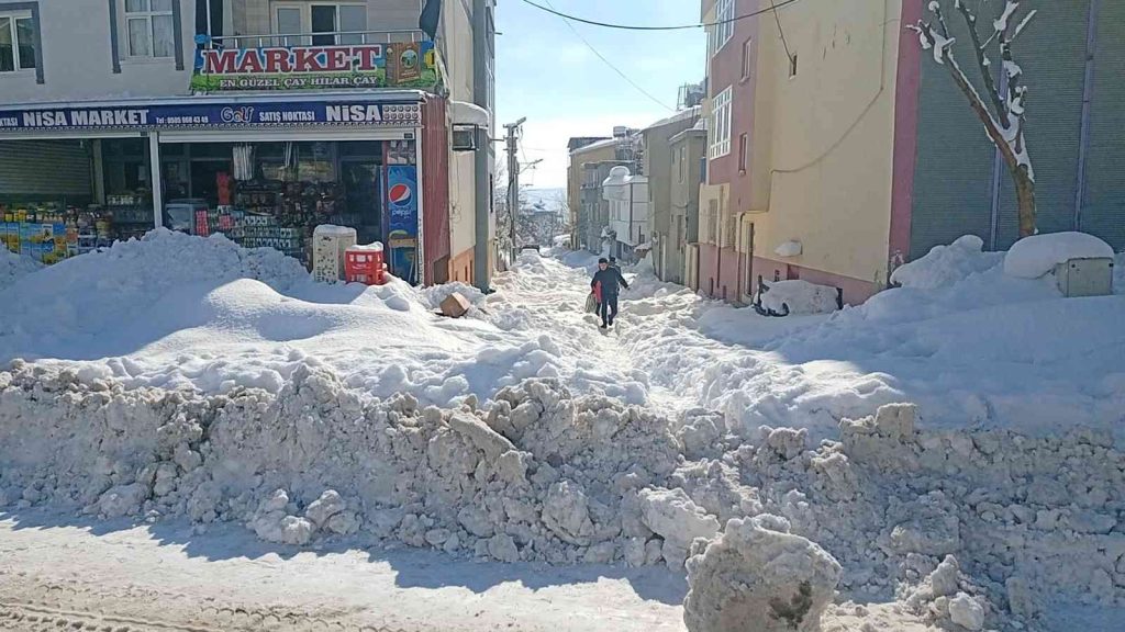 Dicle’de kar yağışı hayatı olumsuz etkiledi