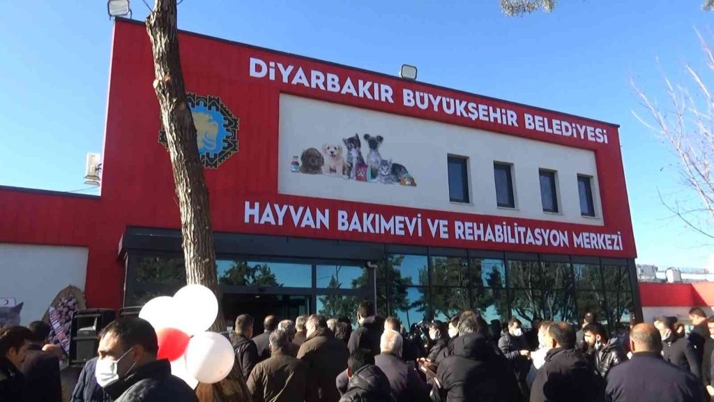 Diyarbakır ve çevresinde bulunan sokak hayvanları için 5 yıldızlı yuva açıldı