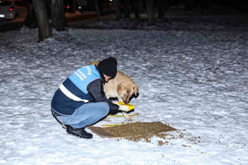 Diyarbakır’da ’Can Dostlara’ 1 ton 700 kilogram mama bırakıldı