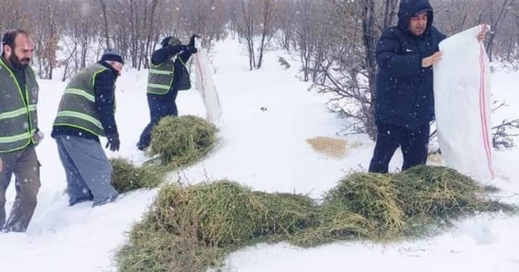 Doğanşehir’de doğada yaşayan hayvanlar unutulmadı