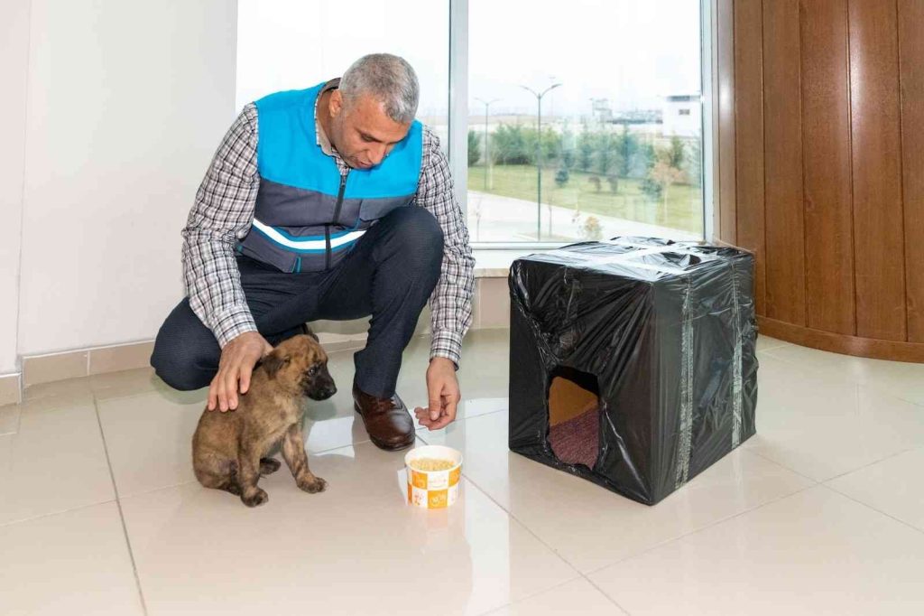 Donmak üzere olan yavru köpeği MASKİ personelleri kurtardı