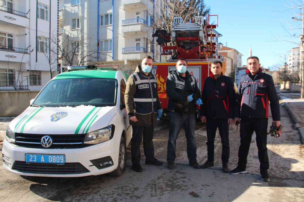 Elazığ’da çatıda mahsur kalan kedi için HAYDİ ve itfaiye ekipleri seferber oldu