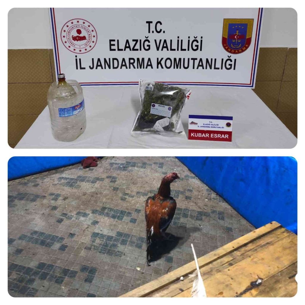 Elazığ’da horoz dövüşü operasyonu: 17 kişi yakalandı