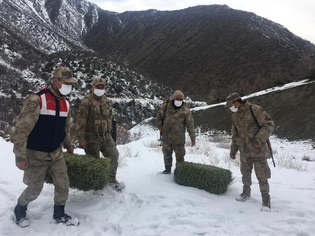 Elazığ’da jandarma, yaban hayatı için doğaya yem bıraktı