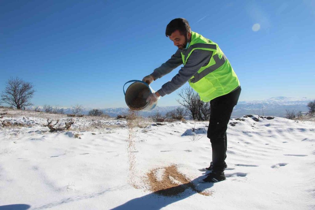 Elazığ’da sokak ve yaban hayvanları için 90 farklı noktaya yem bırakıldı