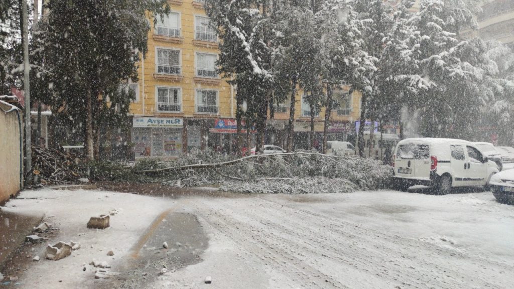 Gaziantep’te yoğun kar yağışı nedeniyle ağaçlar devrildi