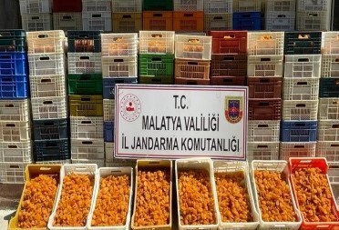 JASAT suçlulara göz açtırmadı