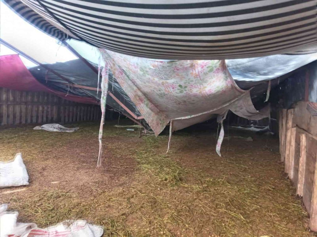 Kar nedeniyle çöken ağılda 28 küçükbaş hayvan telef oldu