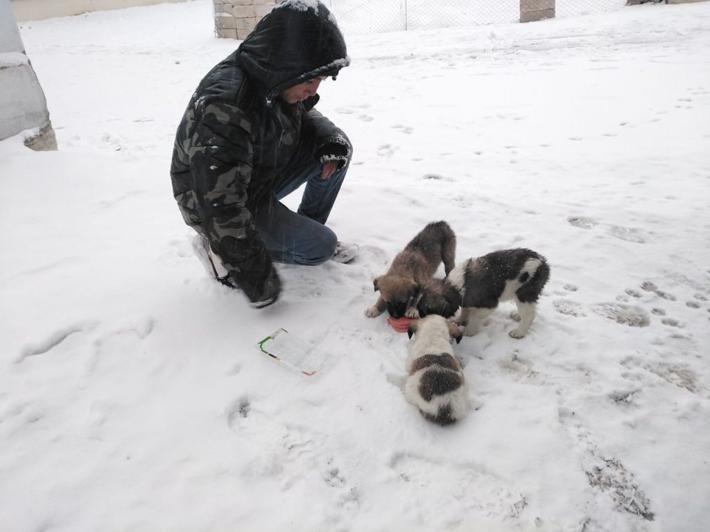 Kar yağışı sonrası aç kalan hayvanlara çocuklar sahip çıktı